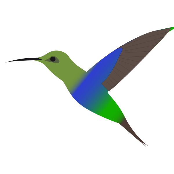 SVG Colibri