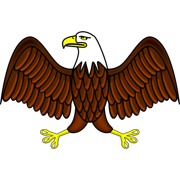 SVG Color bald eagle vector image