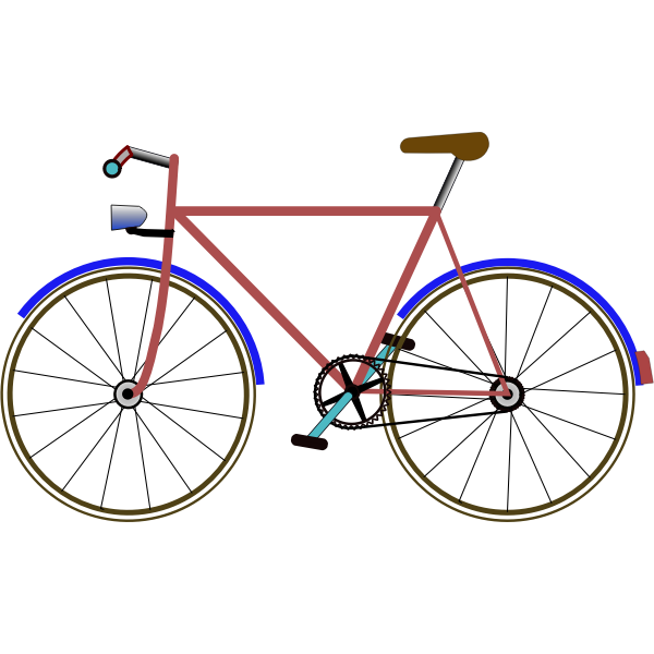 SVG Color bicycle vector image