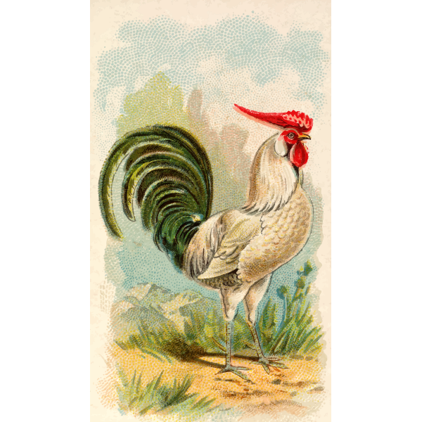 SVG Color illustration of a chicken