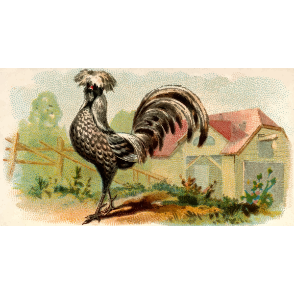 SVG Color illustration of a hen
