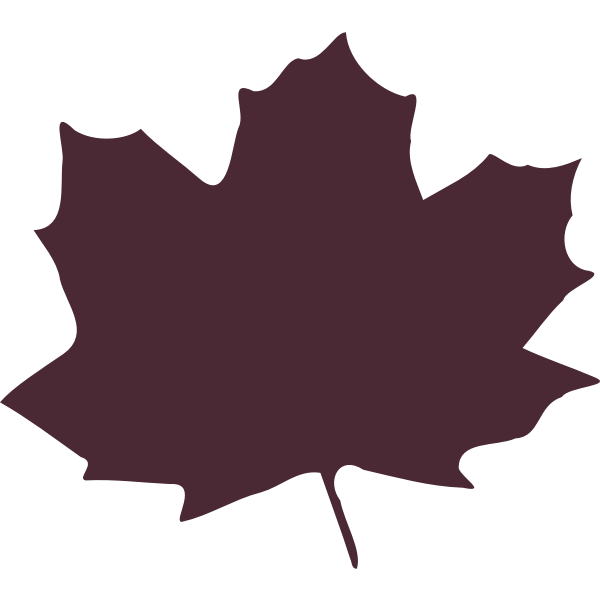 SVG Color maple leaf silhouette vector image