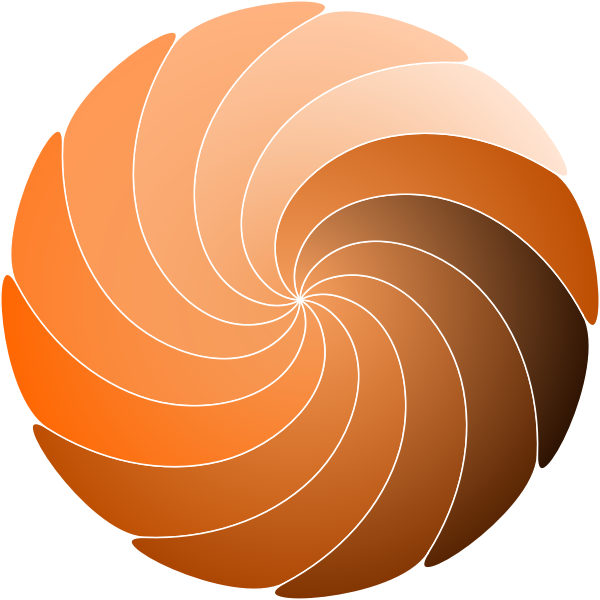 SVG Color spirale vector image