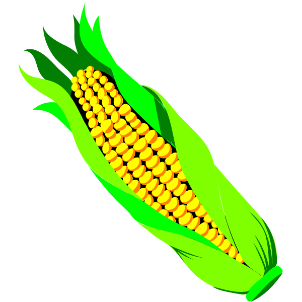 SVG Color vector image of ar of corn