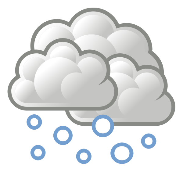 SVG Color weather forecast icon for snow vector image