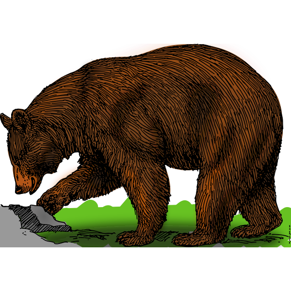 SVG Colored bear on a walk vector illustration