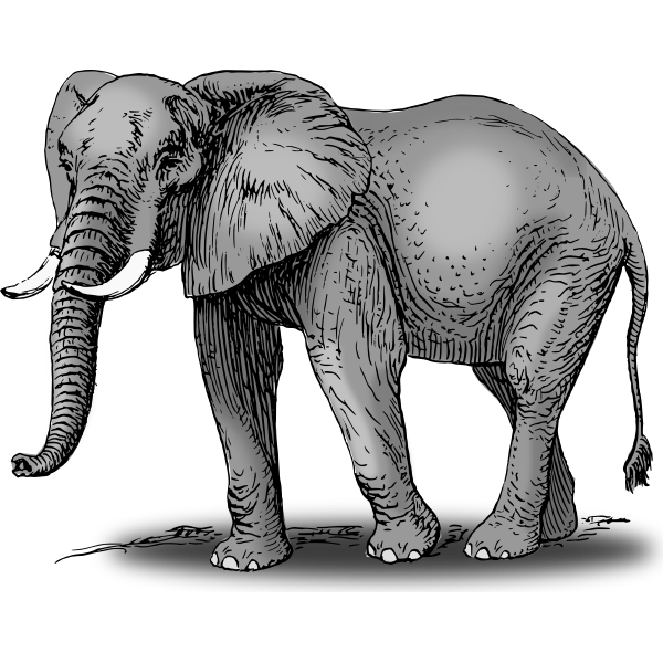 SVG Colored elephant