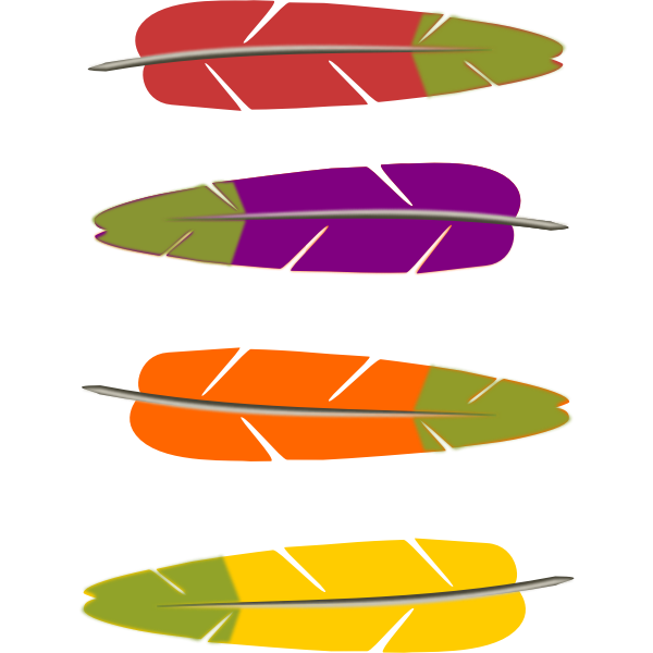 SVG Colored feathers vector graphics