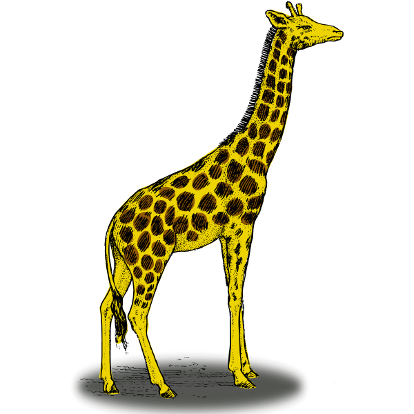 SVG Colored giraffe vector clip art