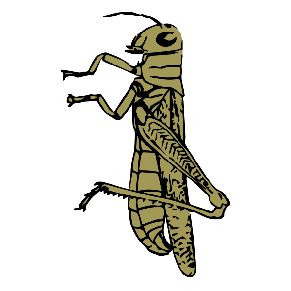 SVG Colored grasshopper