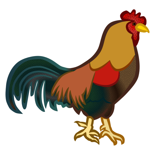 SVG Colored male chicken