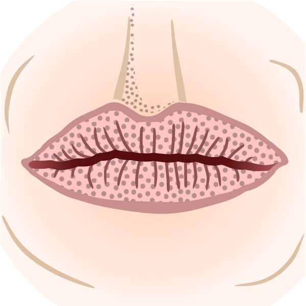 SVG Colored mouth drawing