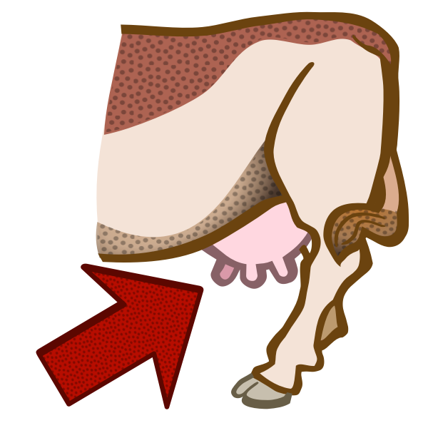 SVG colored udder