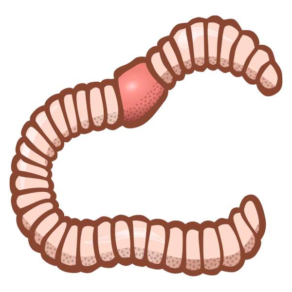SVG Colored worm