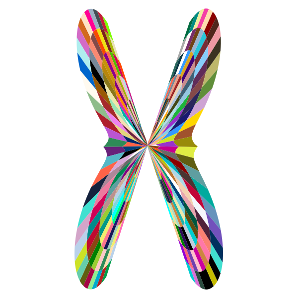SVG Colorful Geometric Butterfly 2