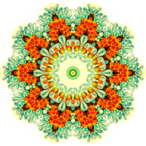 SVG Colorful geometrical flower