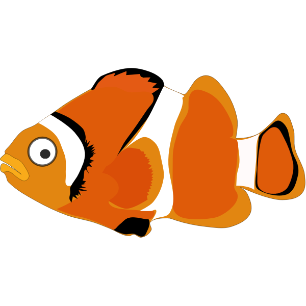SVG Colorful goldfish
