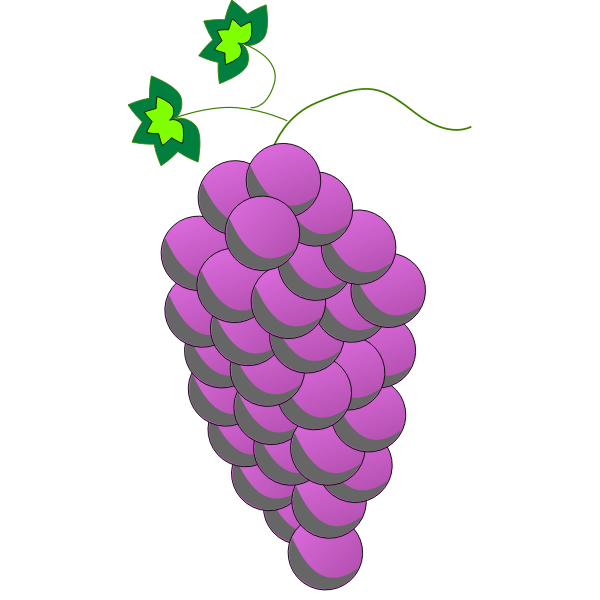 SVG Colorful grapes