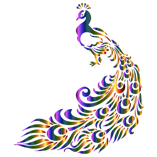 SVG Colorful peacock vector image