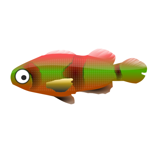 SVG Colorful small fish