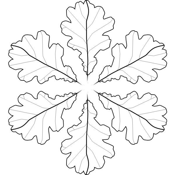 SVG Coloring book leaves