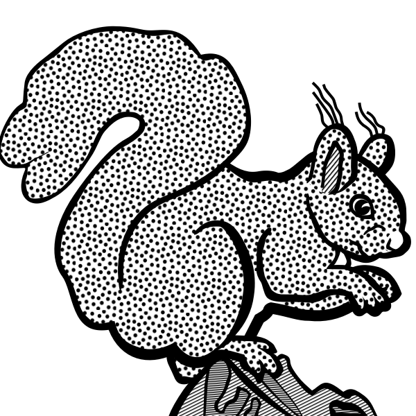 SVG Coloring book squirrel