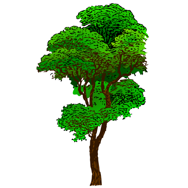 SVG Colorized Tree