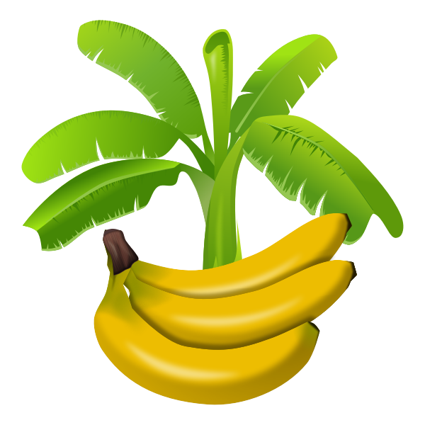 SVG Colourful banana plant with fruits below graphics