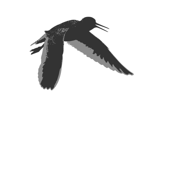 SVG Common redshank