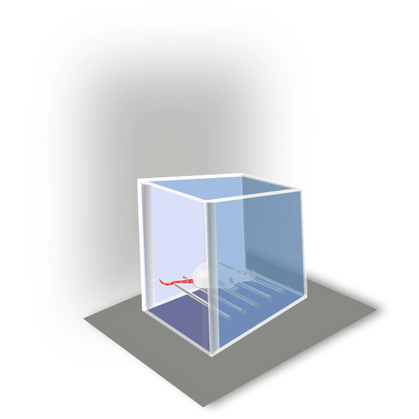 SVG Conditioning box vector drawing