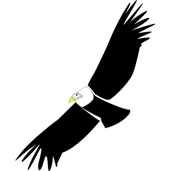 SVG Condor