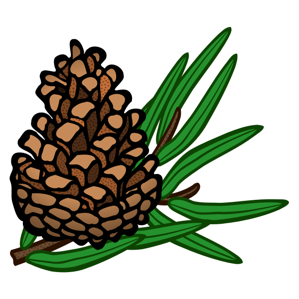 SVG cone - coloured