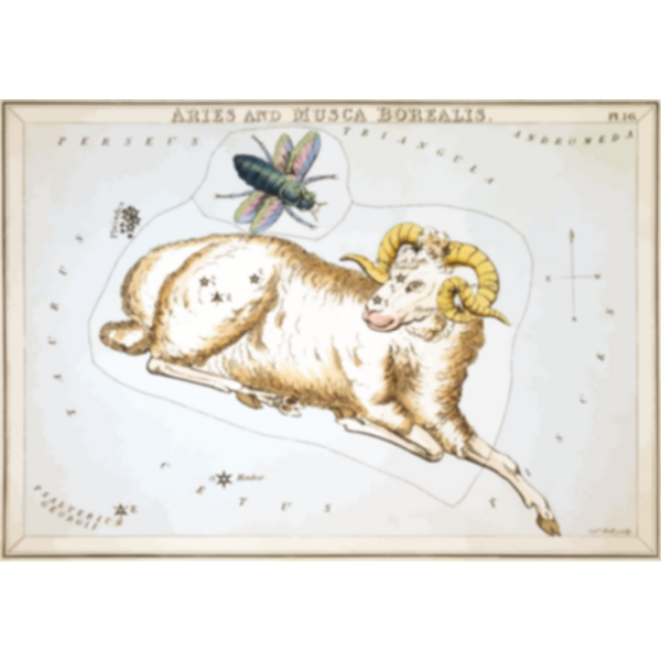 SVG Constellation card