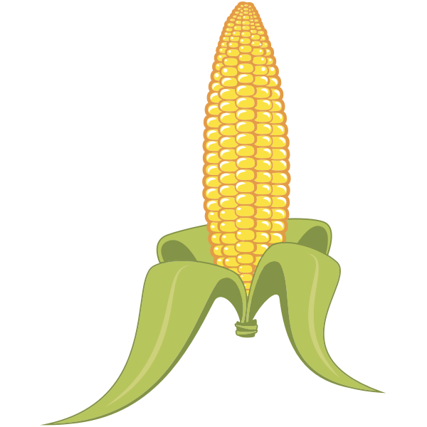 SVG Corn