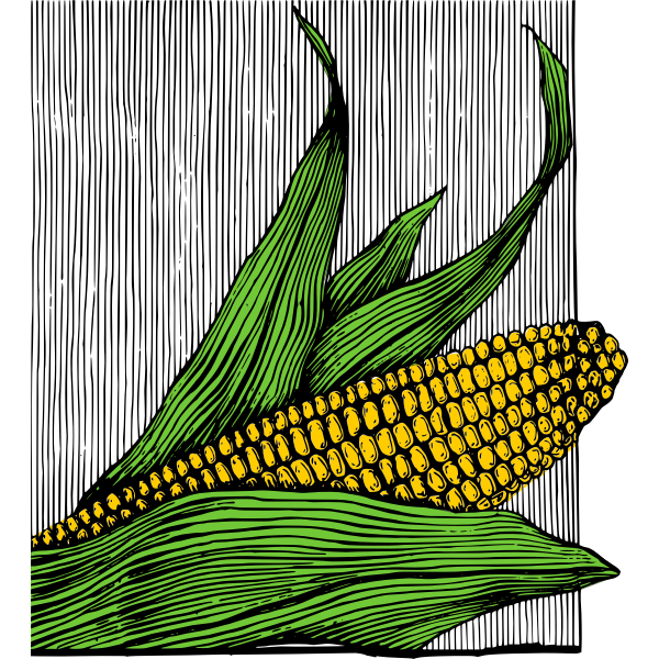 SVG Corn and cob