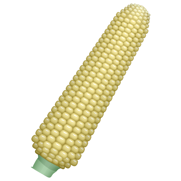 SVG Corn cob