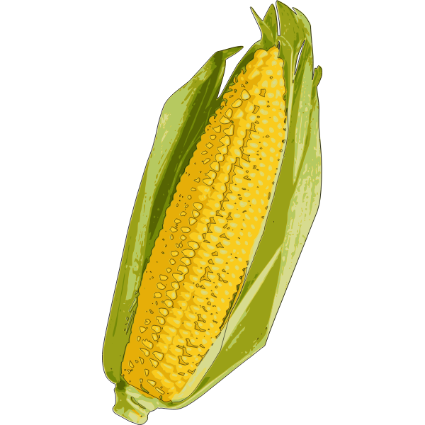 SVG Corn cob image