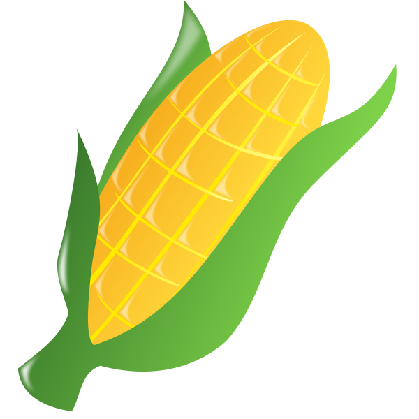 SVG Corn on the cob 2