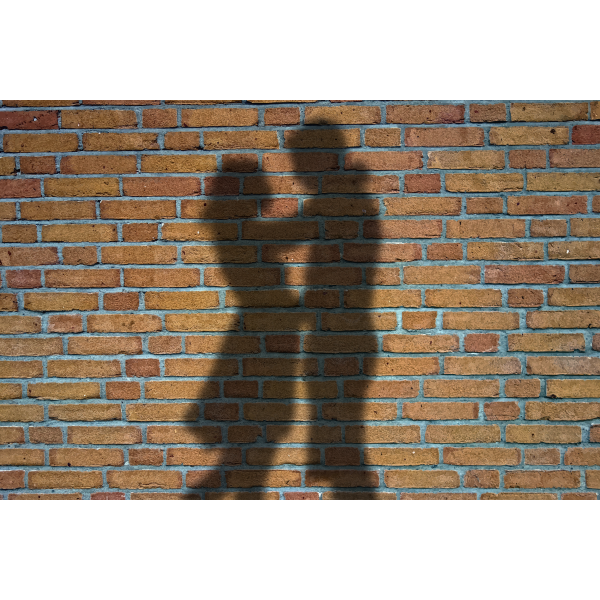SVG Couple in a shadow
