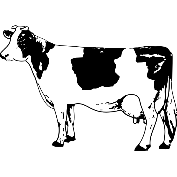 SVG cow