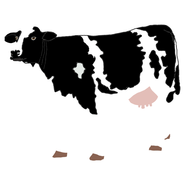 SVG Cow drawing