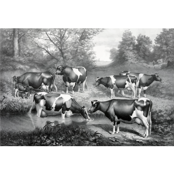 SVG Cows in pasture
