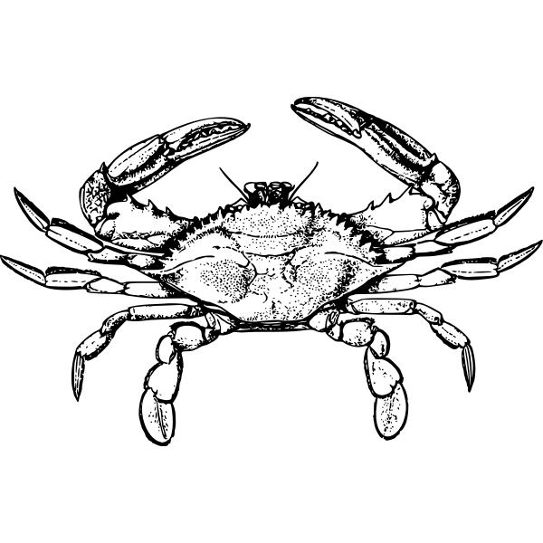 SVG Crab 3