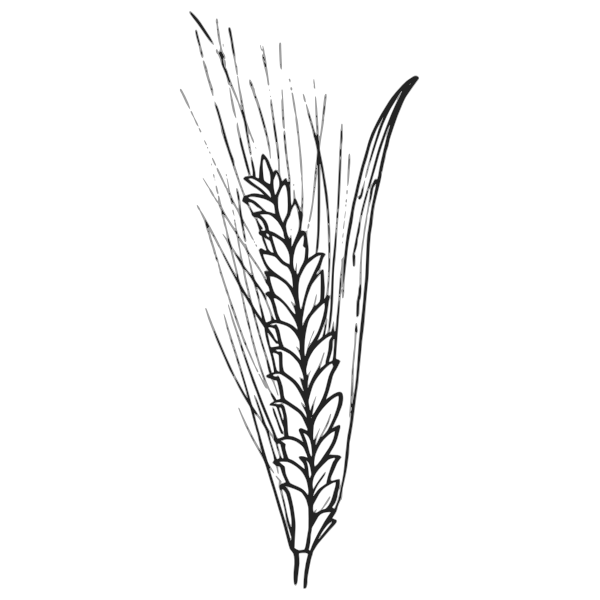SVG Crawling flower vector image