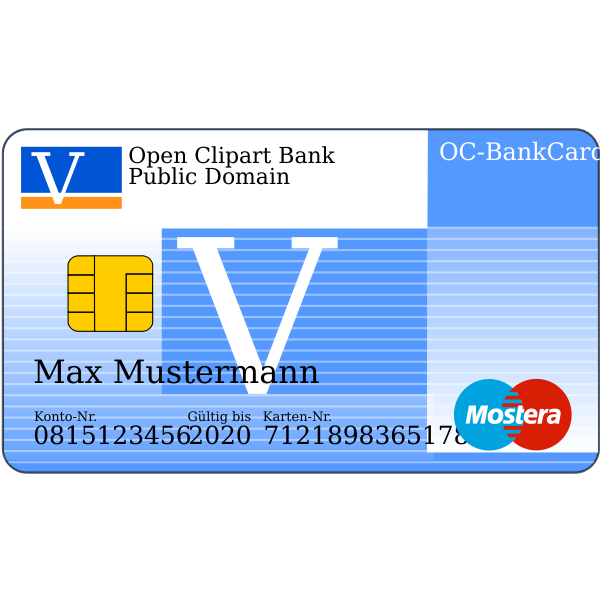 SVG Credit card vector image