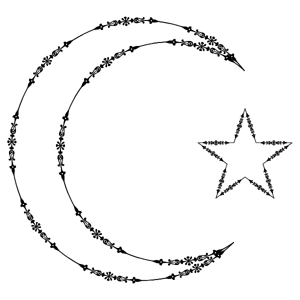 SVG Crescent moon and star