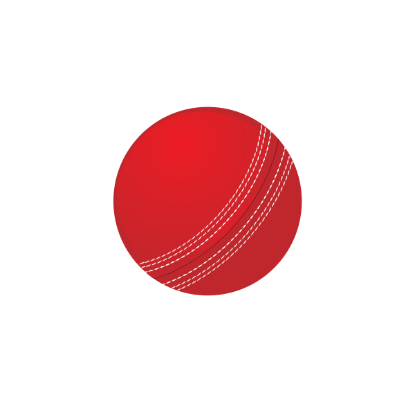SVG Cricket ball vector image