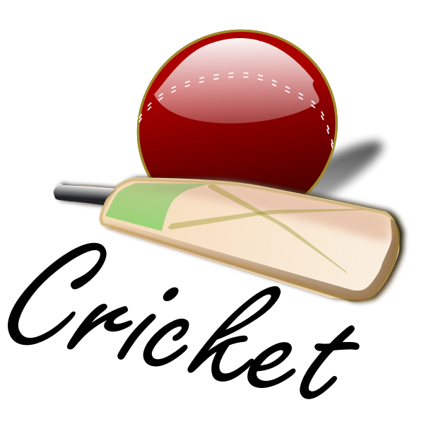 SVG Cricket bat and ball vector image