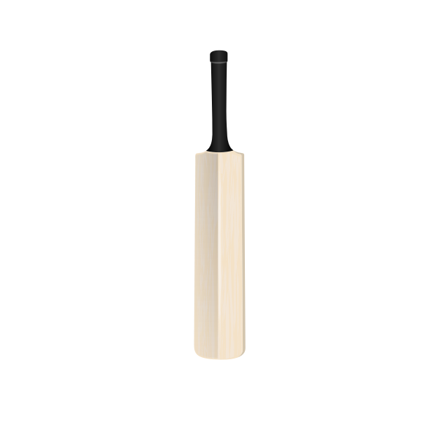 SVG Cricket bat vector image