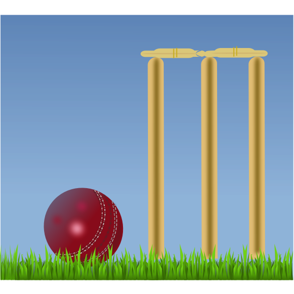 SVG Cricket illustration